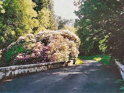 Dalmellington Forget Me Not - Skkzヴィラ エクステリア 写真